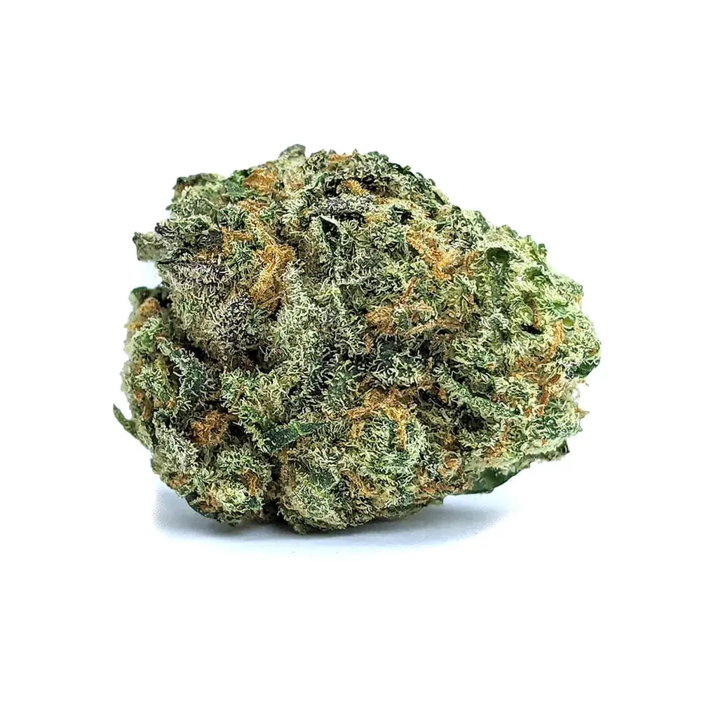 swisshemp blueberry haze žiedai