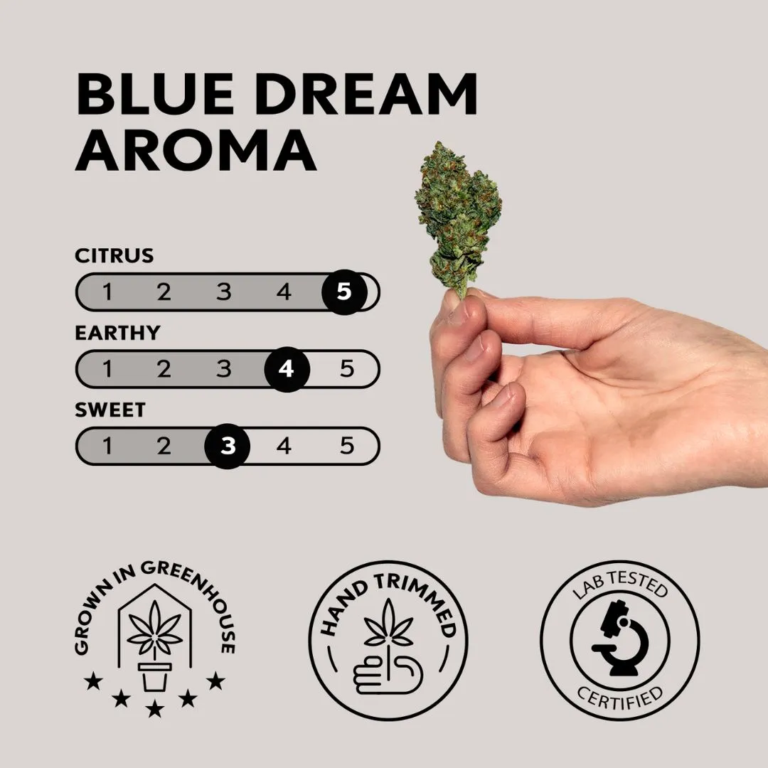 harmonista blue dream aroma